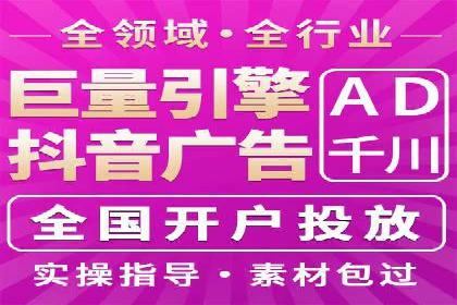 成功案例解析：SEO与SEM协同营销策略